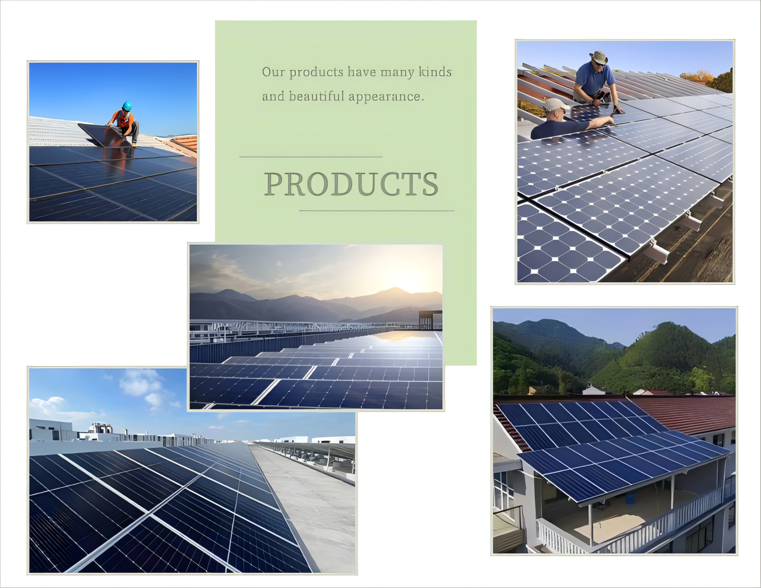 e976a704588c8eb6c31be5e58624863b